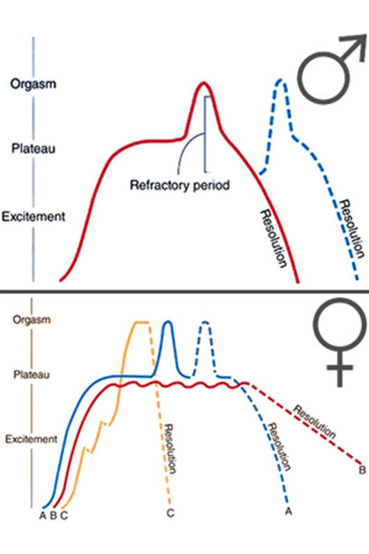 Data Shows Male & Female Orgasms Aren't That Different - Lioness