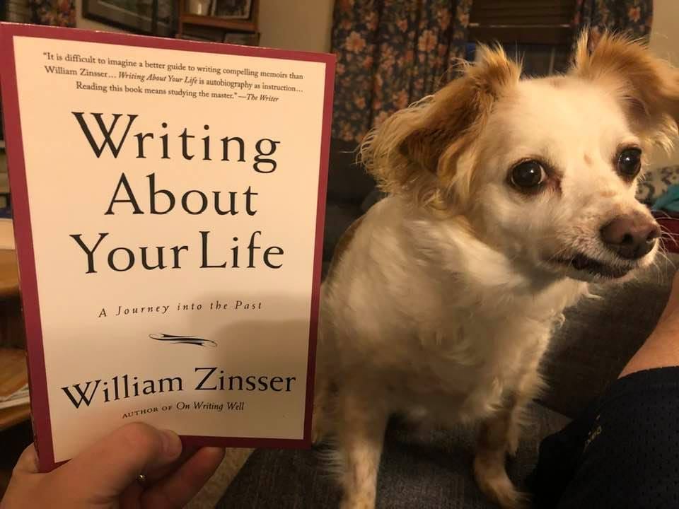 May be an image of 1 person, dog, book and text that says '"It difficult imagine better guide William Zinsser, Writing to iting compelling memoiri than Reading this book means studying the master. The Writer Life autobiography instruction.. Writing About YourLife Life A Journey into the Past William On Writing Zi AUTHOR'