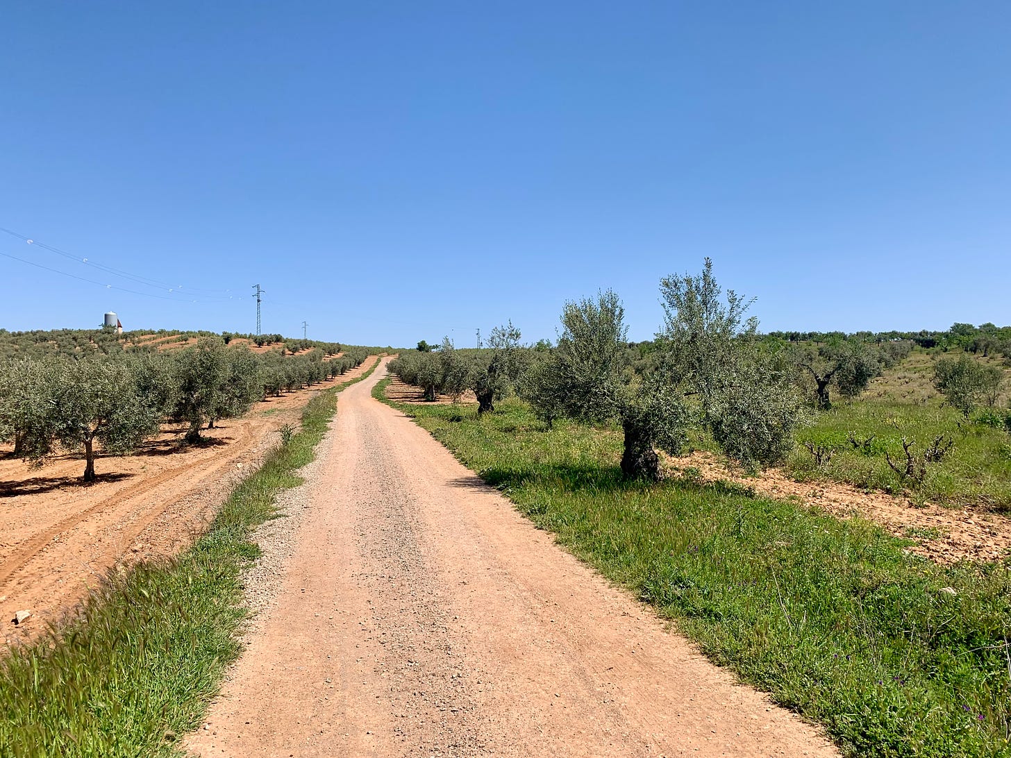 A typical trail in Extremadura