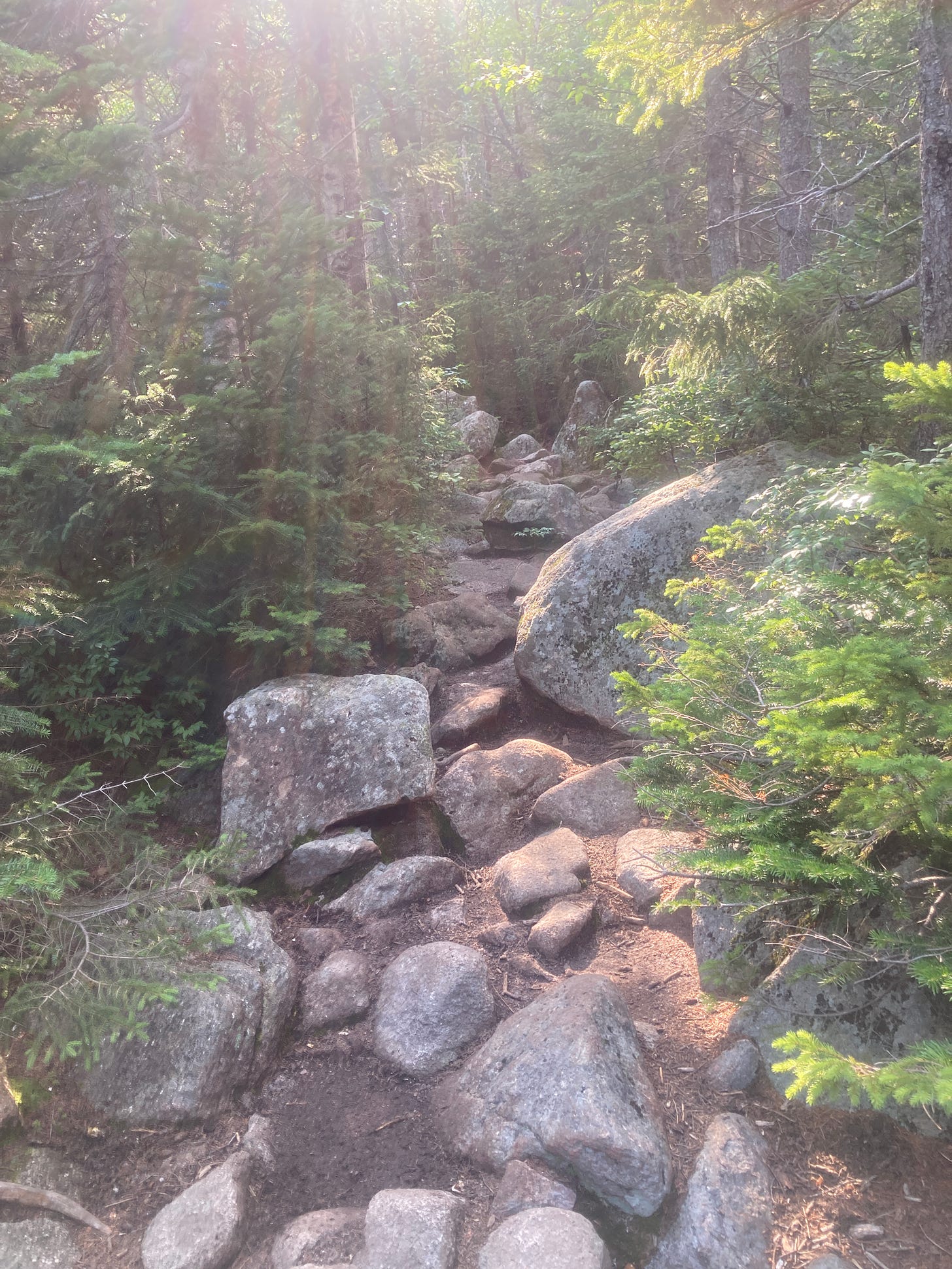 A rocky trail leaqds off into the deep woods, with sunbeams shining down. A blissfully tab-free environment.