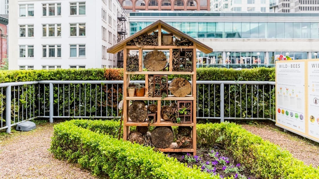 honey bee hotels- fairmont