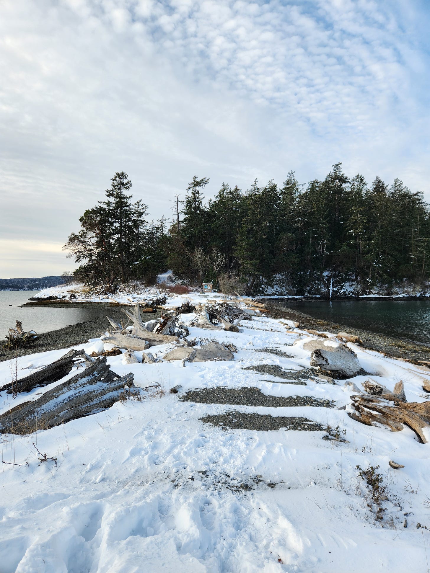 thin sandspit covered with snow and driftwood looking toward forested island