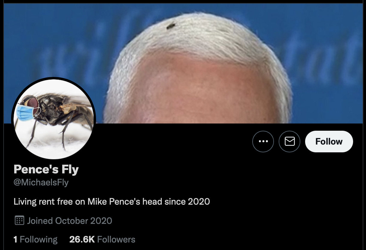 Screenshot of the @MichaelsFly Twitter page.