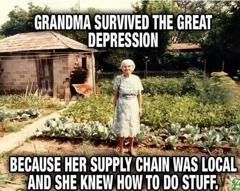 May be an image of 1 person and text that says 'GRANDMA SURVIVED THE GREAT DEPRESSION BECAUSE HER SUPPLY CHAIN WAS LOCAL AND SHE KNEW HOW TO DO STUFF.'