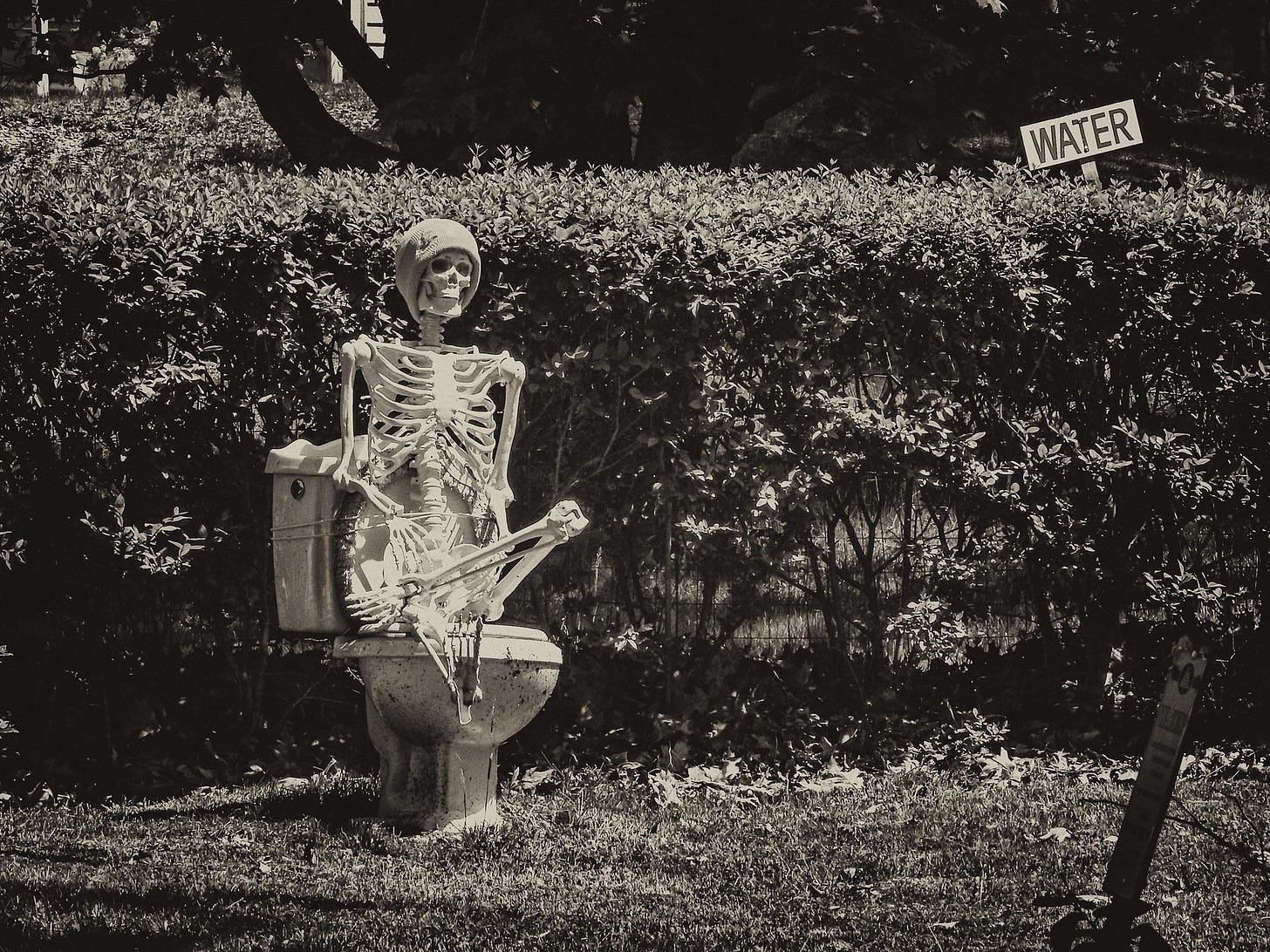 Skeleton on a toilet