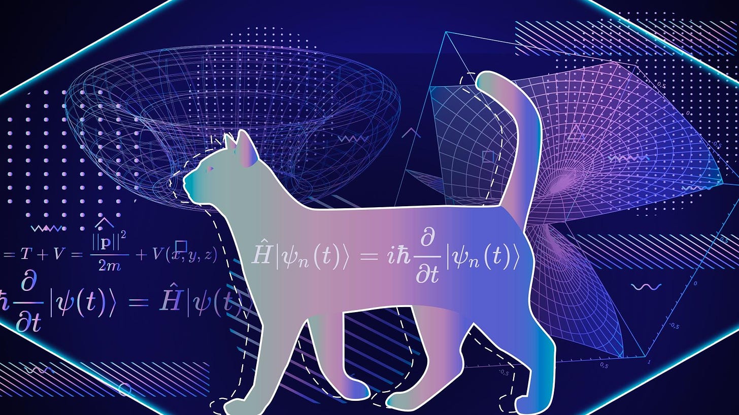 Schrodinger's Cat Explained Like I'm Five