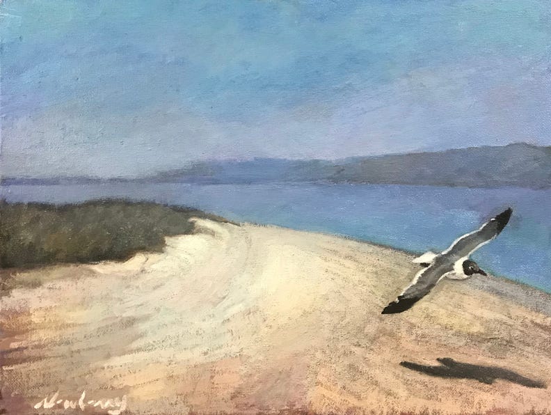 Newberry, Seagull at Picnic Island, 2020, oil on panel, 12x16"