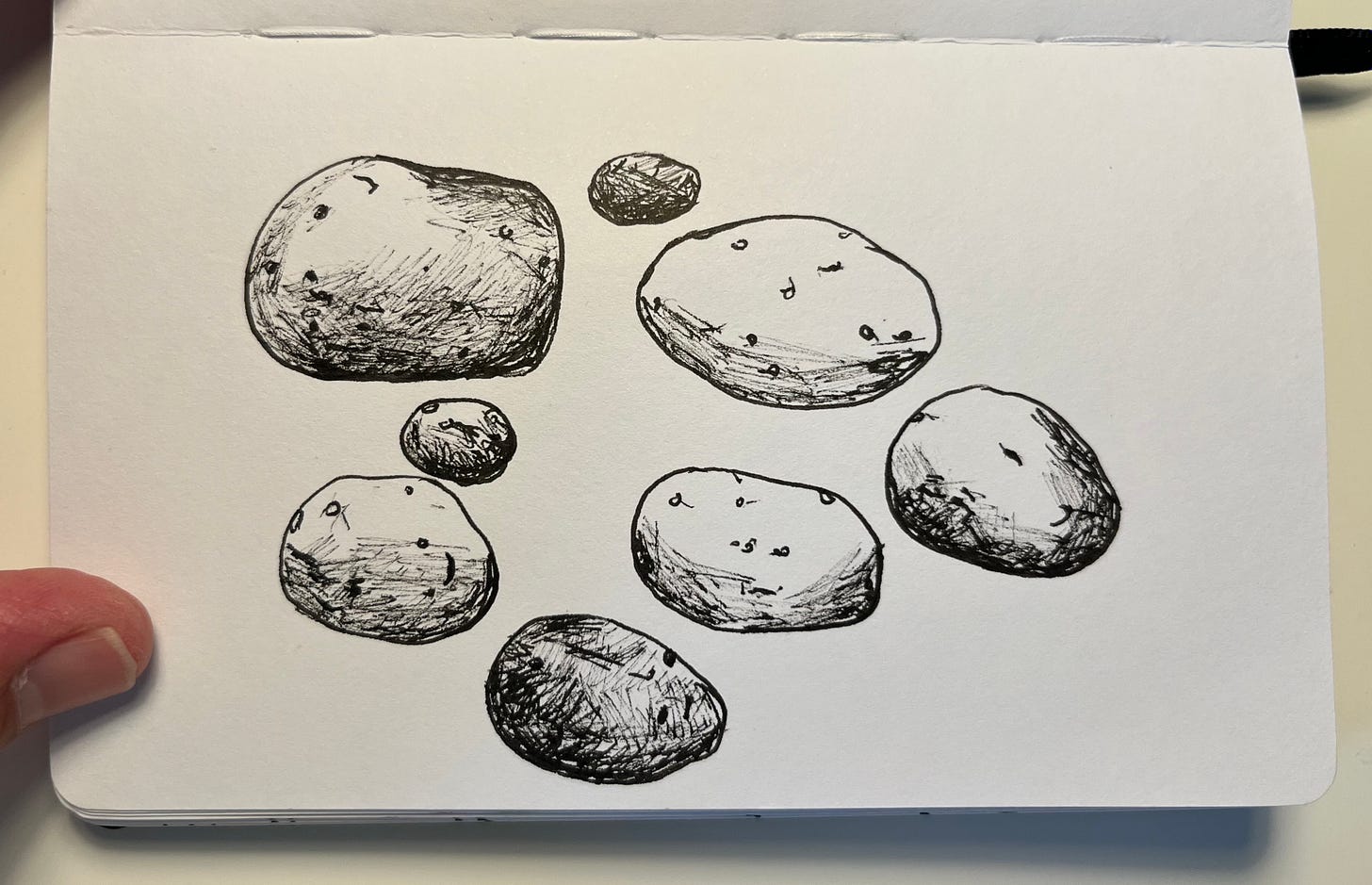 ink drawing of potatoes in a sketchbook 