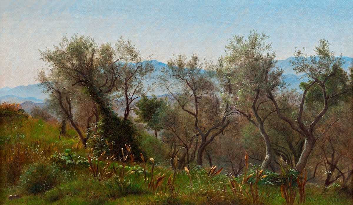 Olive Trees at Olevano with Mountains in the Background - Peter Christian  Skovgaard — Google Arts & Culture