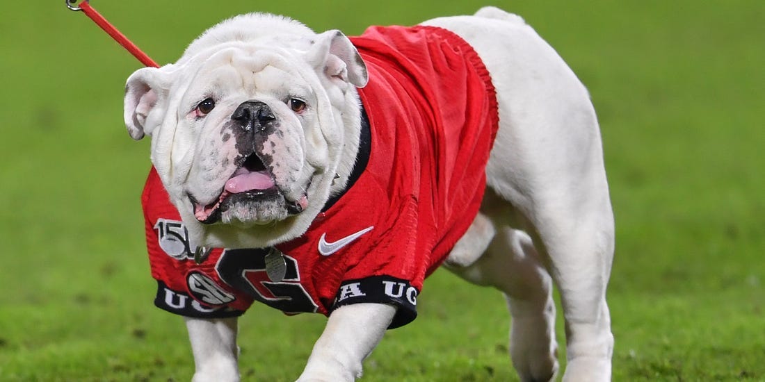 PETA criticizes University of Georgia mascot Uga the bulldog ...