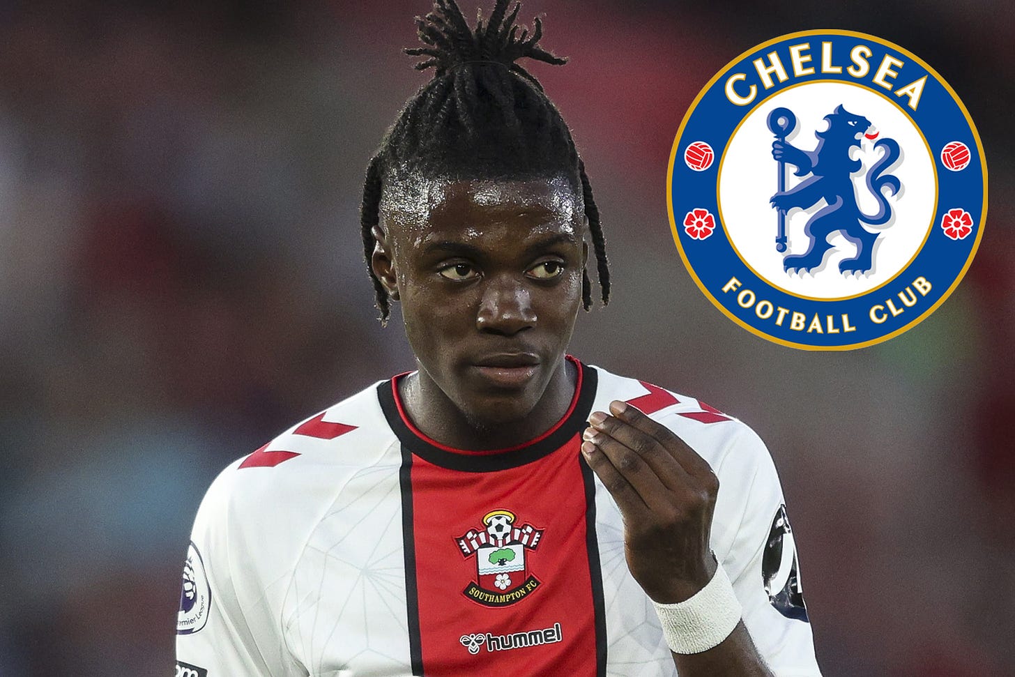 Chelsea 'made £50m deadline day bid' for Southampton's Romeo Lavia... who  Saints signed from Man City this summer for just £12m