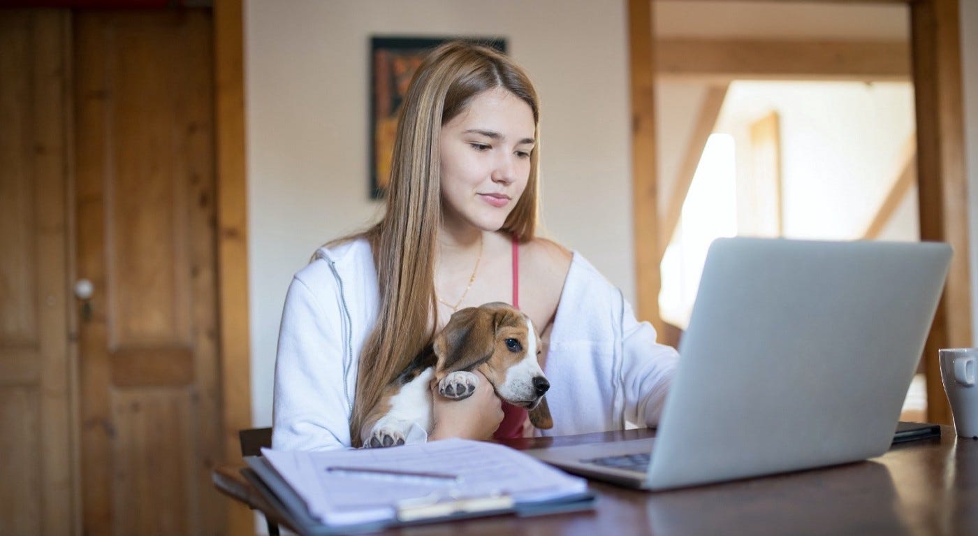 Pretty young woman working on her laptop with her dog