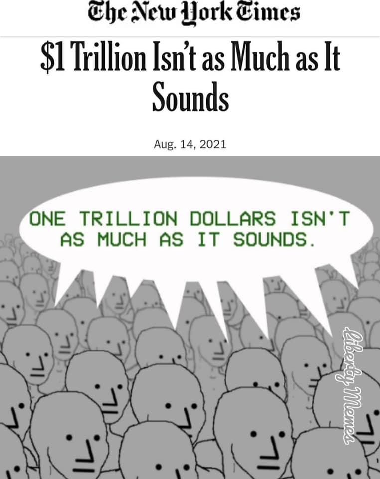 May be a cartoon of text that says 'The New Hork Gimes $1 Trillion Isn't as Much as It Sounds Aug. 14, 2021 ONE TRILLION DOLLARS ISN' AS MUCH AS IT SOUNDS. Liberby Memes'