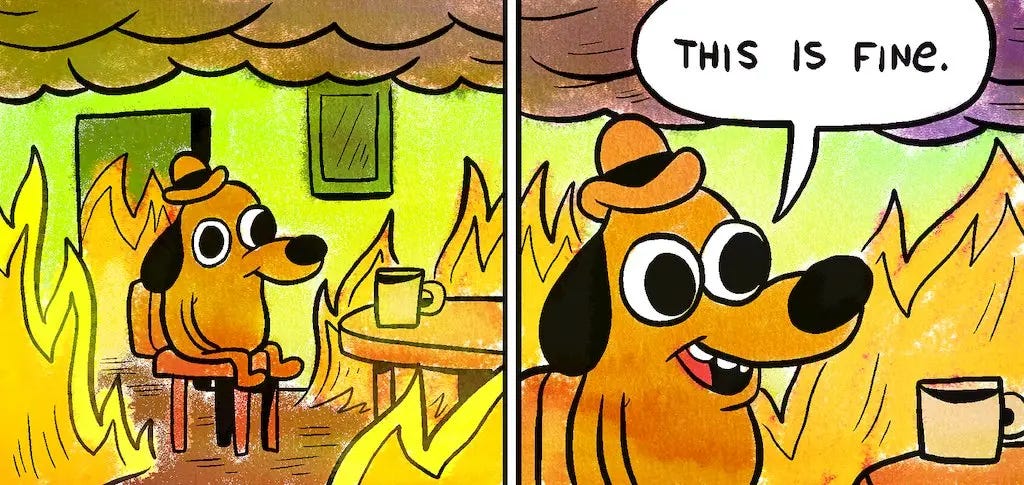 A meme with two panels. The first depicts a dog wearing a hat and sitting upright in a chair. There is a mug on the table in front of the dog, and fire burning all around them. The second panel is a zoomed in depiction of the same dog, with a quote bubble saying "this is fine."