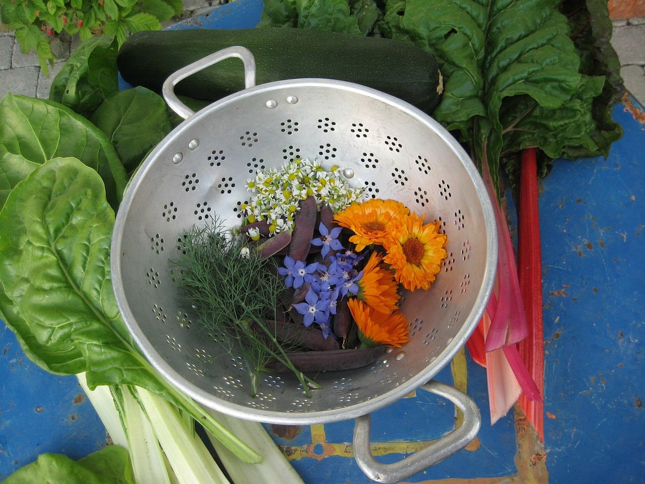 bowl,metal bowl,salad bowl,harvest,vegetables,herbs,flowers,garden,healthy