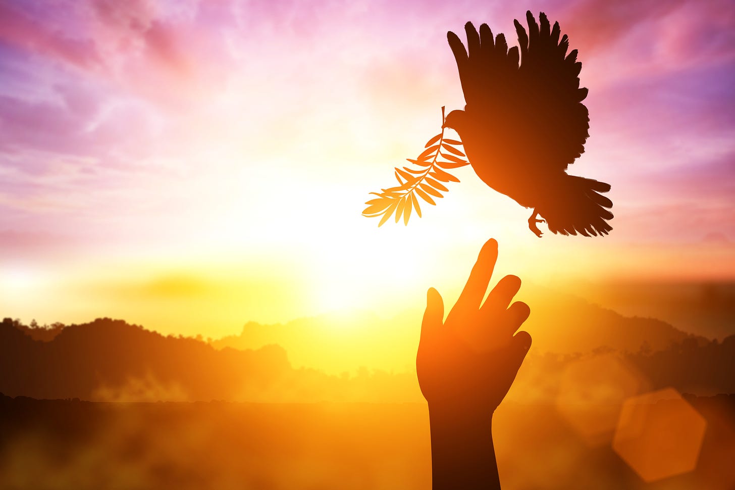 Hand reaching dove of Holy Spirit