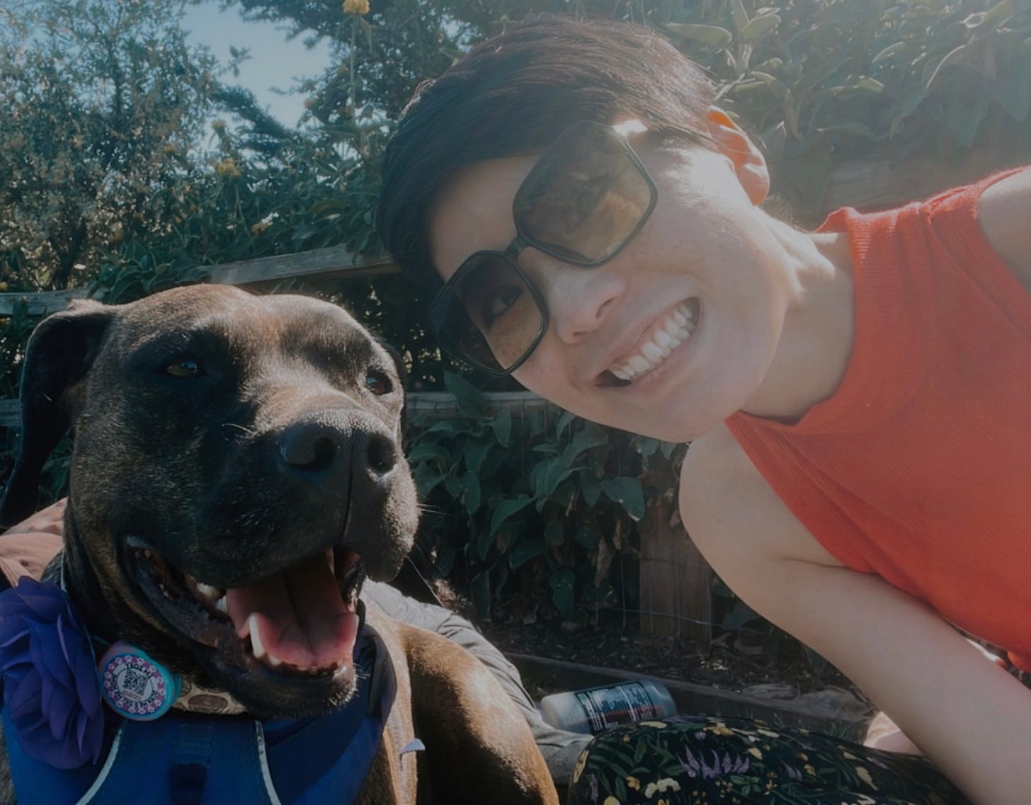 On the left half, a pitmix dog grinning and on right, an East Asian woman with a pixie cut, red tank, green sunglasses, also smiling