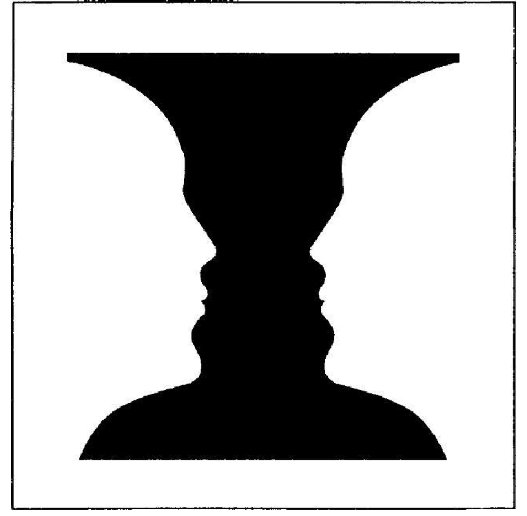 rubin's vase illusion