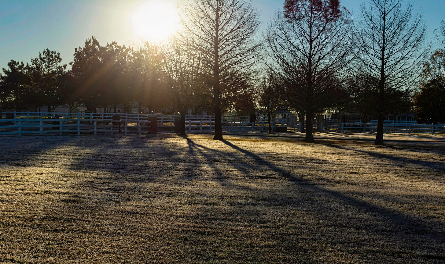 shadows of the trees and white fences across the lawn with the sun rising behind the trees