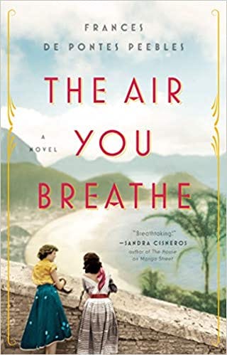 The Air You Breathe: A Novel | Amazon.com.br