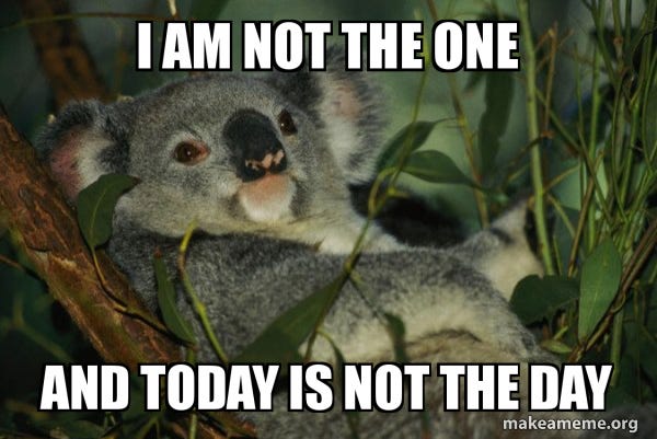 I am not the one And today is not the day - Laid Back Koala | Make a Meme
