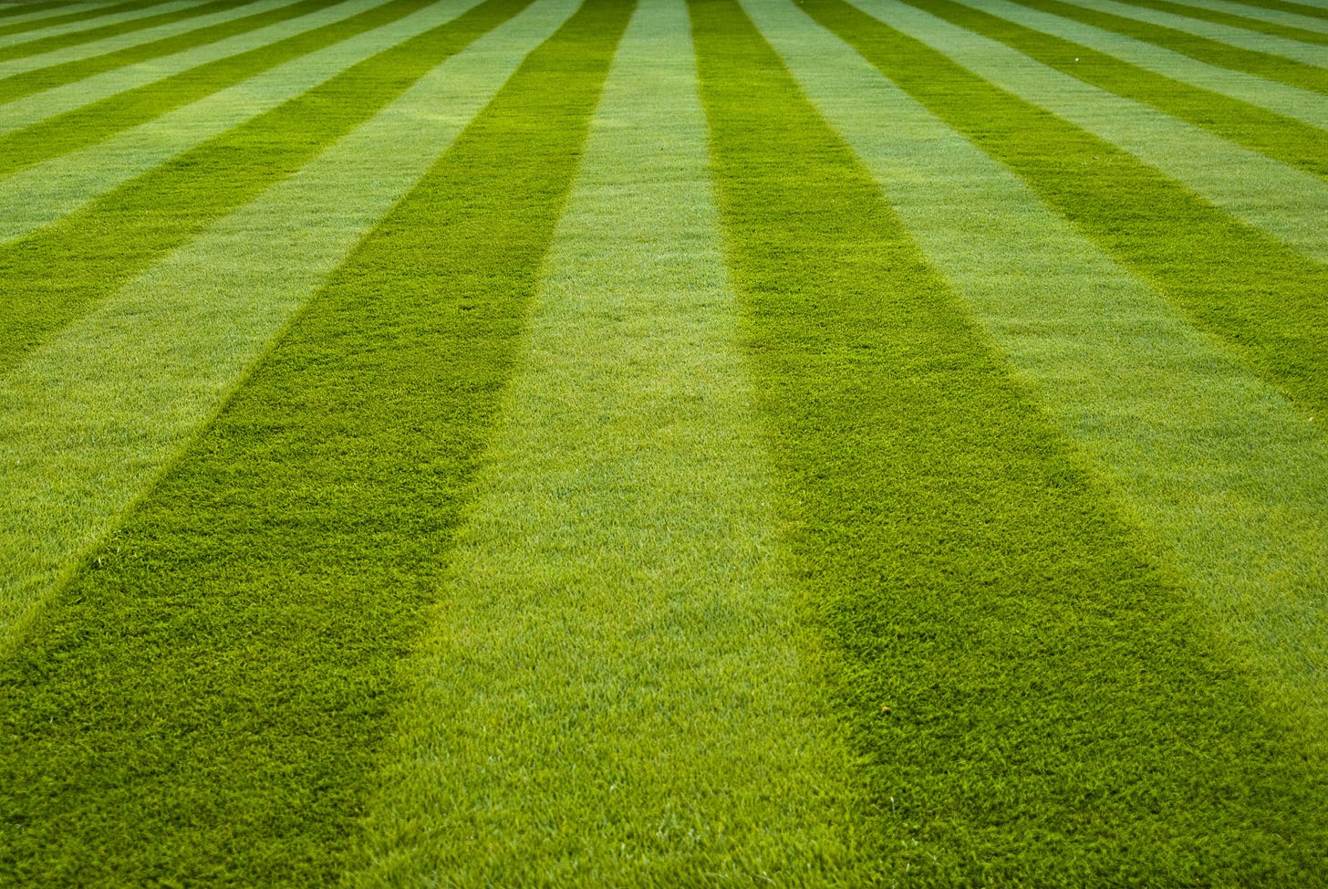 Lawn Growing & Maintenance Online Course | Learning with Experts