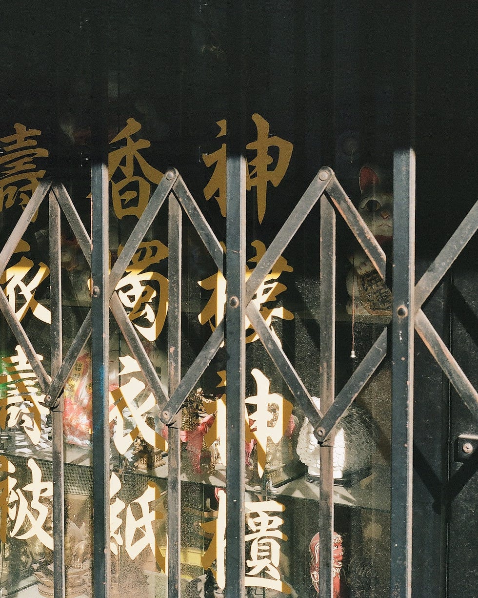 Storefront window in Chinatown with Chinese characters and a scissor grate pulled in front of it.