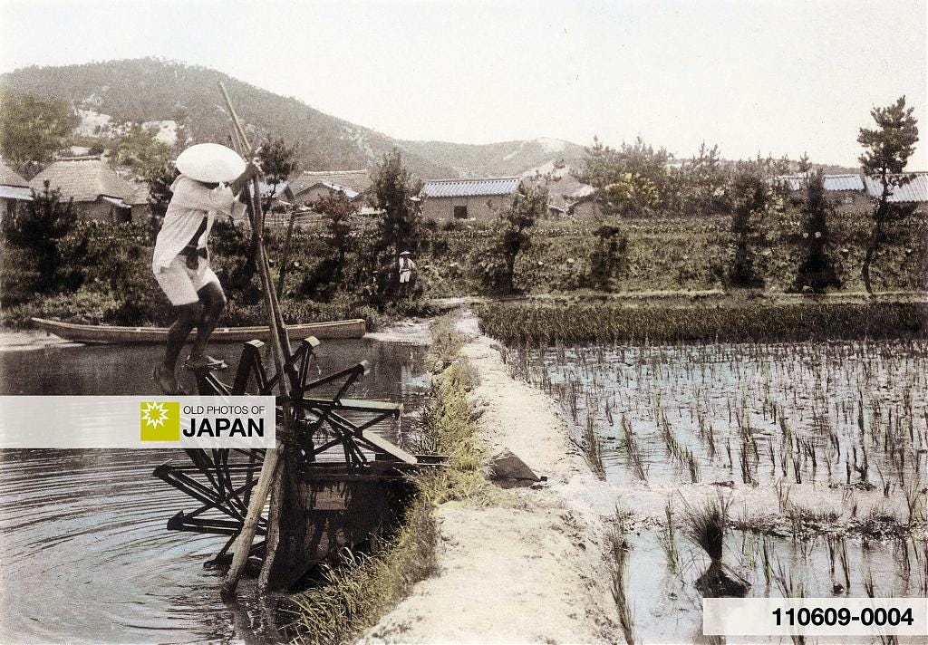 110609-0004 - Irrigating a Rice Field in Japan, 1907
