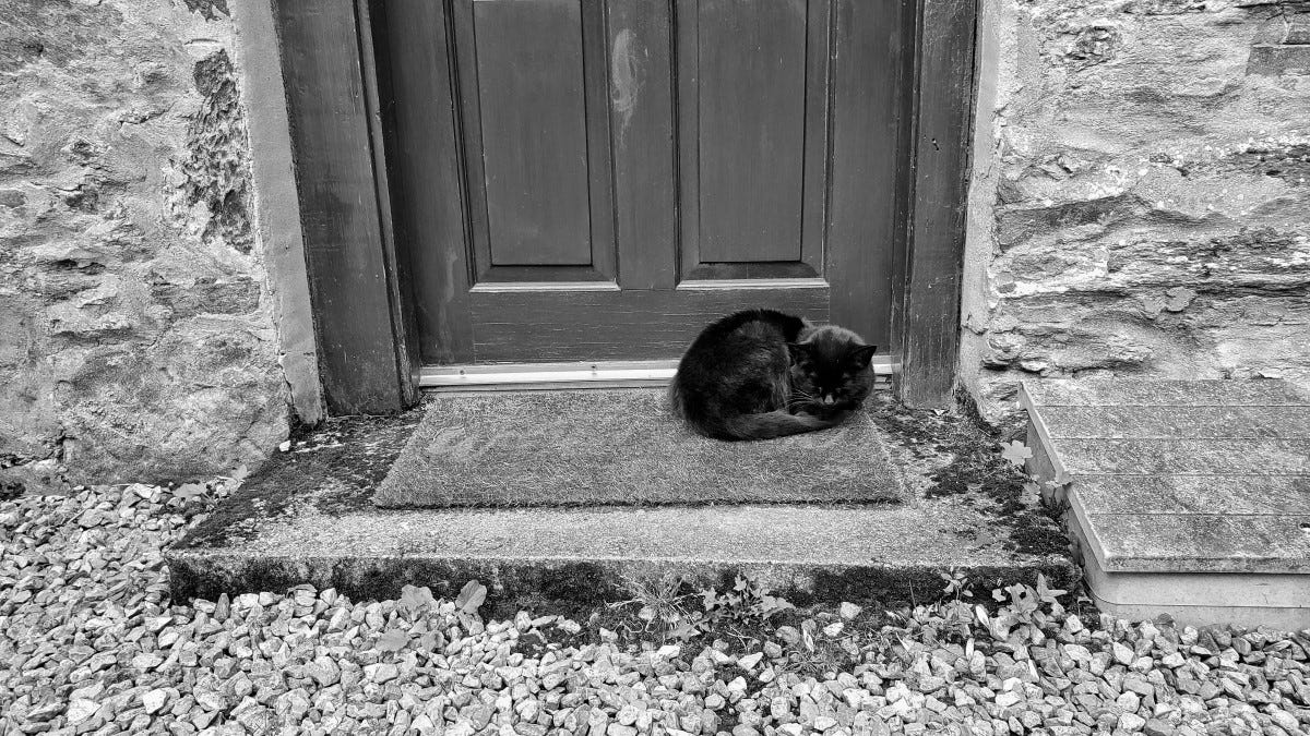 A black cat curled up on a mat in front of a wooden door
