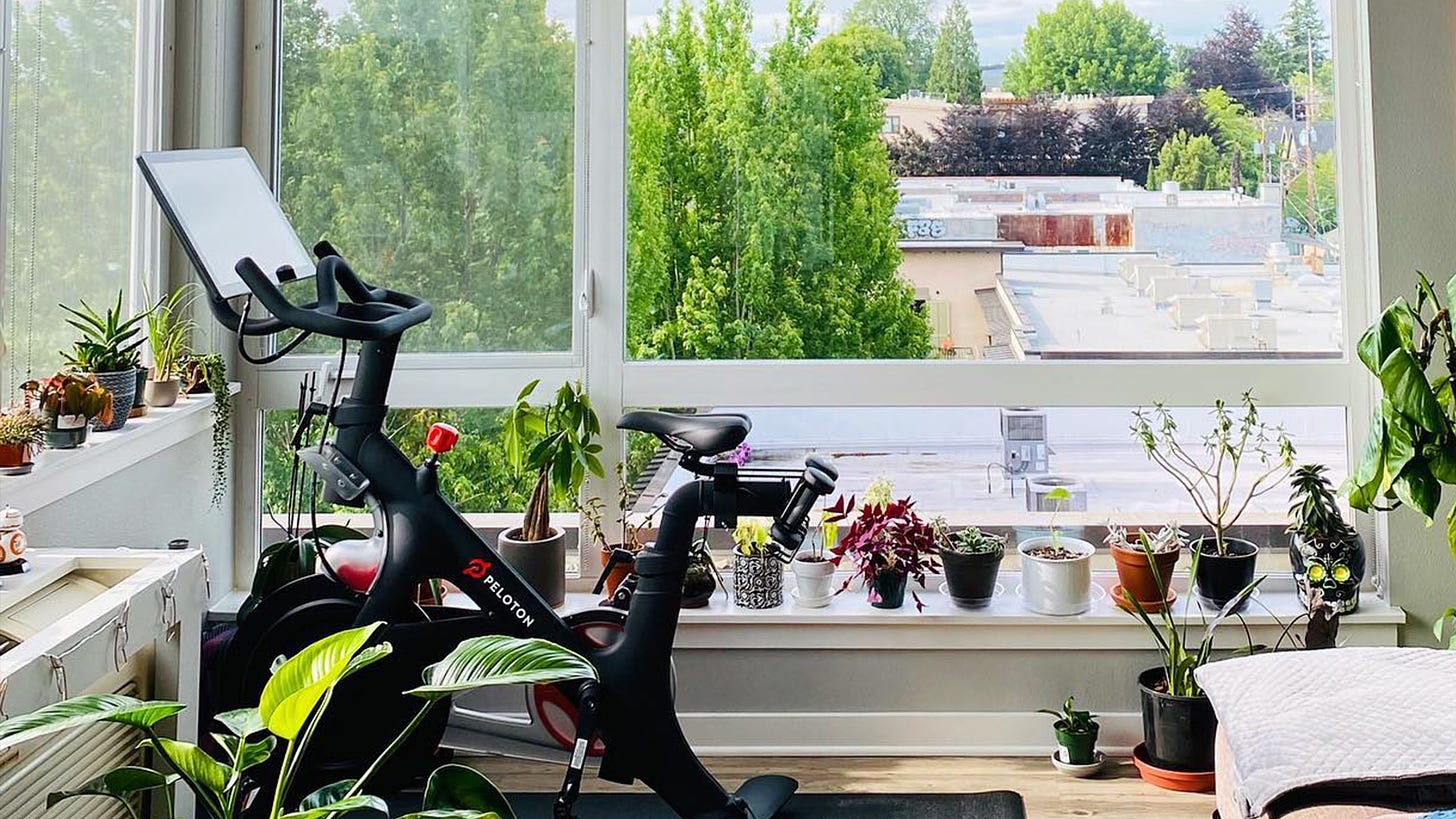 The Best Plants for Your Home Gym | Add These Plants to Your Peloton Gym