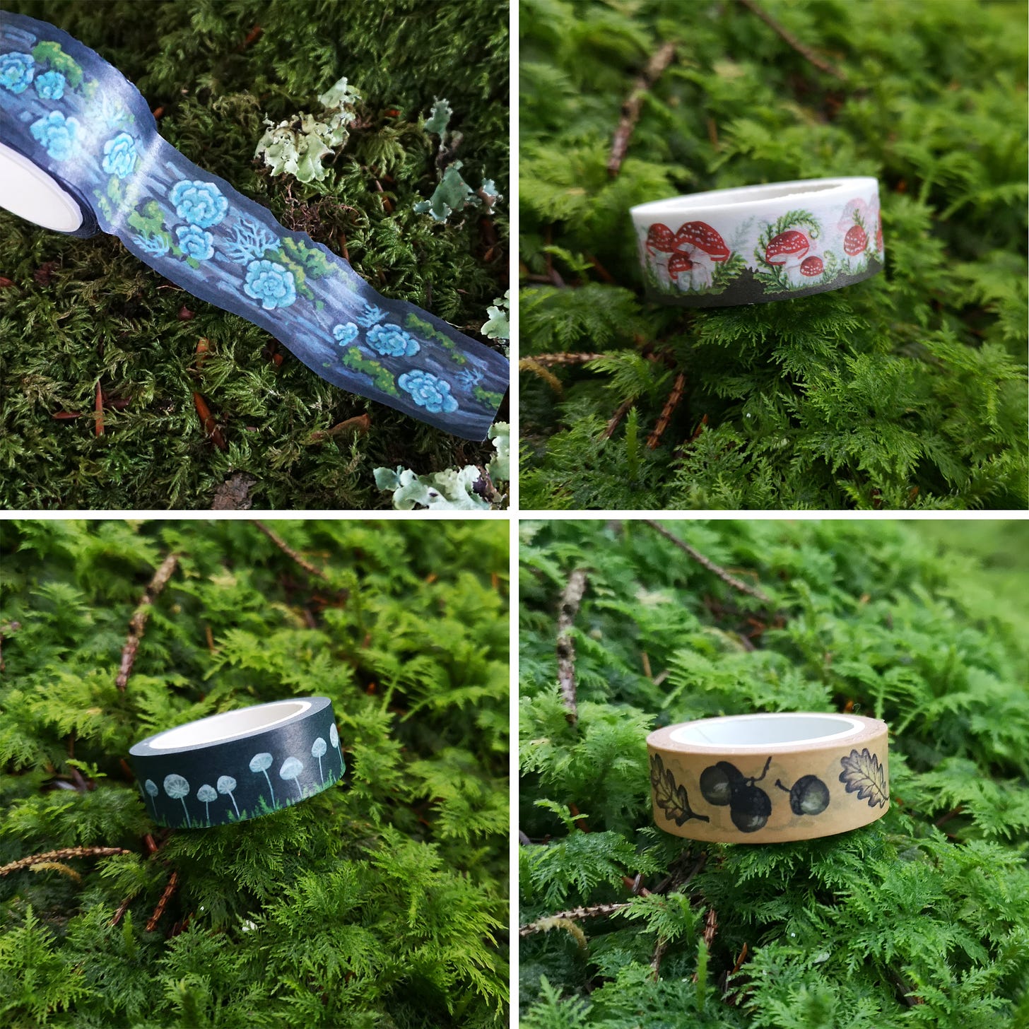Image descriptions: 1) a little roll of narrow illustrated tape sitting in the moss. The background is what and the images are a parade of red and whit fly agaric mushrooms growing out of green moss, surrounded by bracken. 2) Another washi tape in the moss, this time with a dark blue background and tiny translucent white mushrooms growing out of the moss. 3) a wider washi tape with a little bit unrolled, lying on some moss sprinkled with lichen. The tape has a wobbly edge, and shows a continuous tree trunk adorned with mossy clumps and pale green lichens. 4) A gold background washi tape with brown and yellow autumnal acorns and oak leaves sitting in the moss.