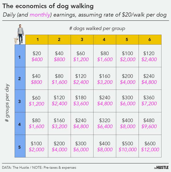 economics of dog walking