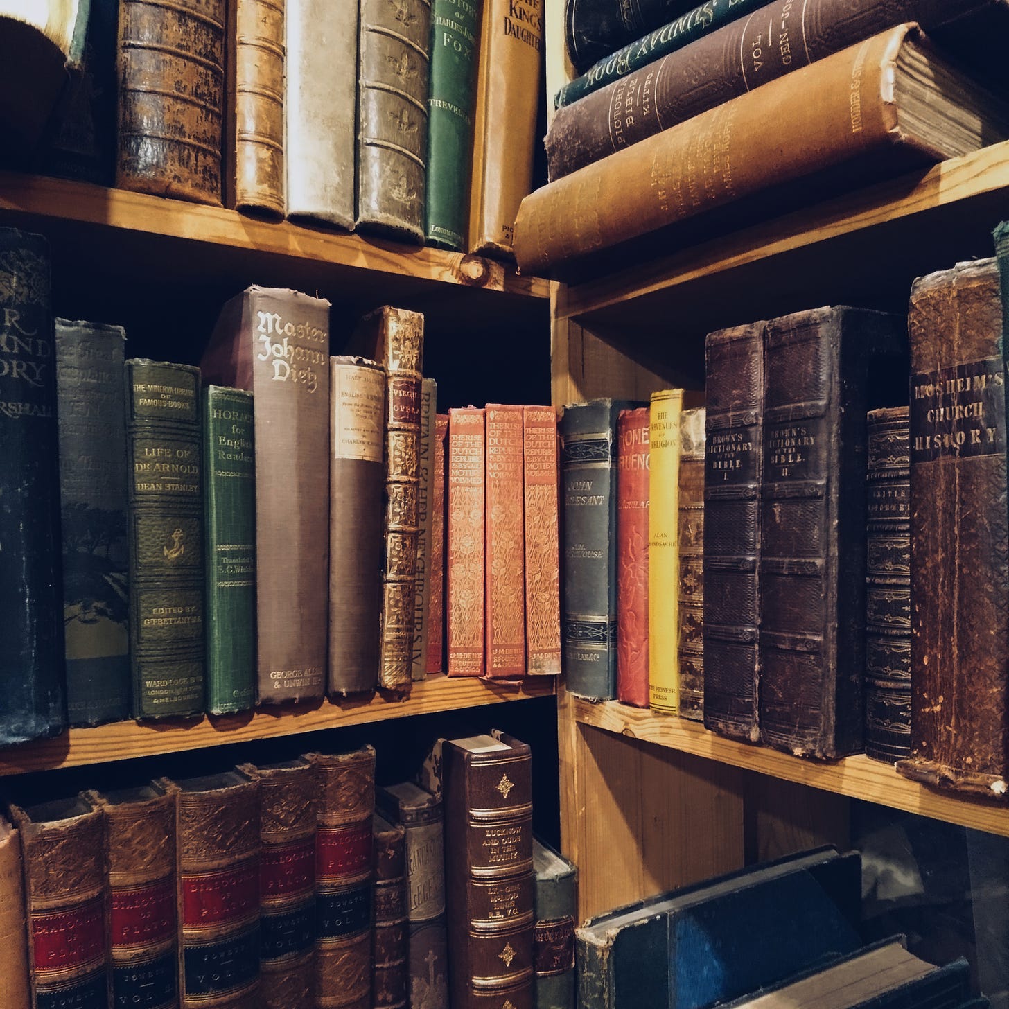 Shelves of old leather-bound books