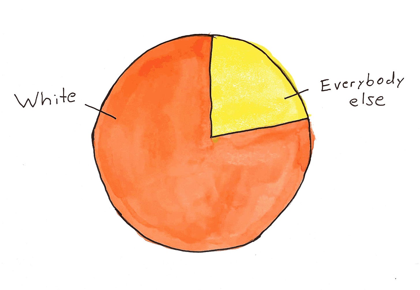 Pie chart showing 80 percent labeled White and the other 20 percent labeled Everybody else