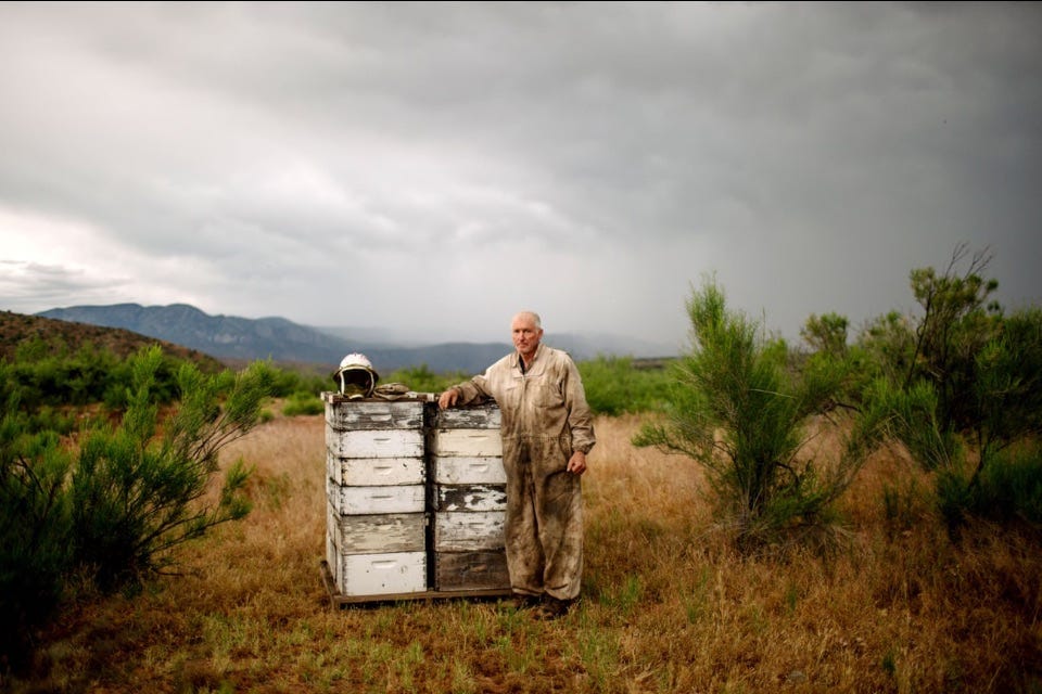 Image beekeeper with hives.