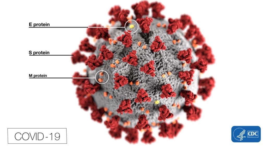 Image of SARS-CoV-2, the virus causing covid-19.