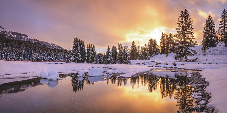 Winter in Yellowstone Photograph by Matthew Alberts - Pixels