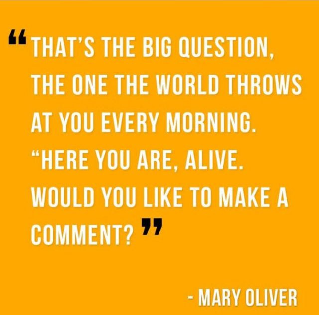 "That's the big question, the one the world throws at you every morning. 'Here you are, alive. Would you like to make a comment?'" Mary Oliver
