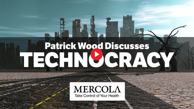 patrick wood technocracy