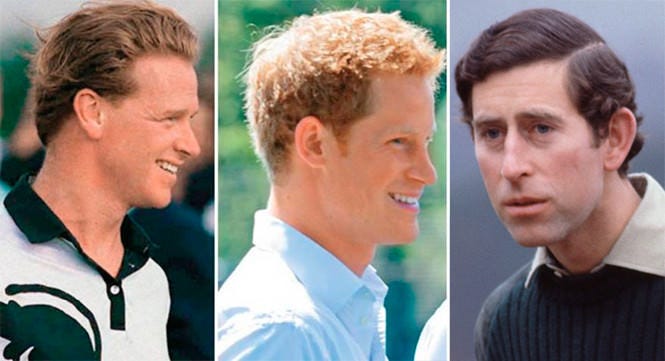 Google says James Hewitt, not Charles, is 'real father' of Prince Harry