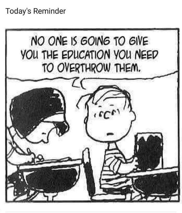 No one is going to give you the education you need to overthrow them