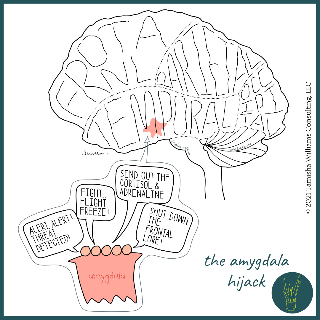 Digitally drawn image of a brain, labels of the parts of the brain, and a fictional amygdala speaking about flight, fight, and freeze.