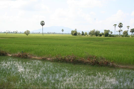 20111110-212037.jpg