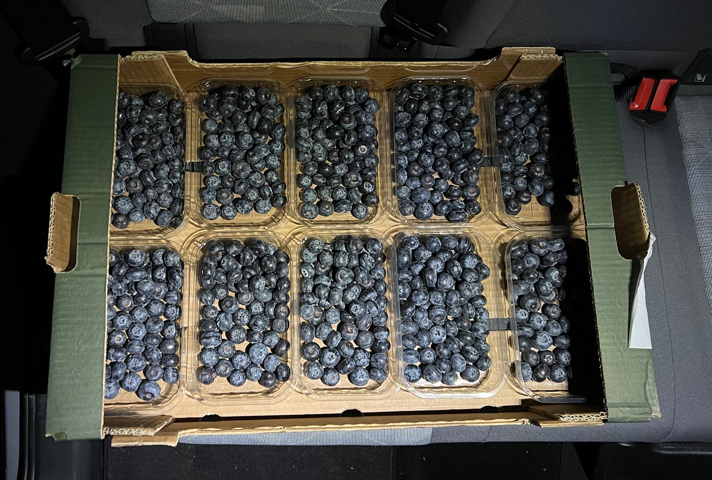 A cardboard tray sits on the back seat of a car. Ten punnets of blueberries are visible but there are another ten hiding underneath.  They look big plump and delicious.