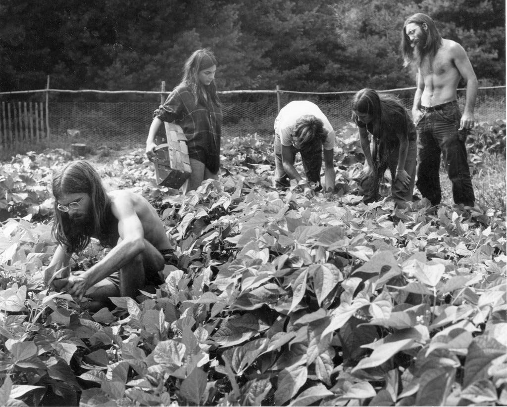 Young people work in a garden at the Pikes Falls community in Jamaica, Vt., in the 1970s. Vermont's population jumped 15 percent in the 1970s, with more than half of the increase coming from people moving from out of state, and some moving to experimental communes. The state historical society is collecting stories and artifacts in a two-year study to document the lasting influence the 1970s had on the state.