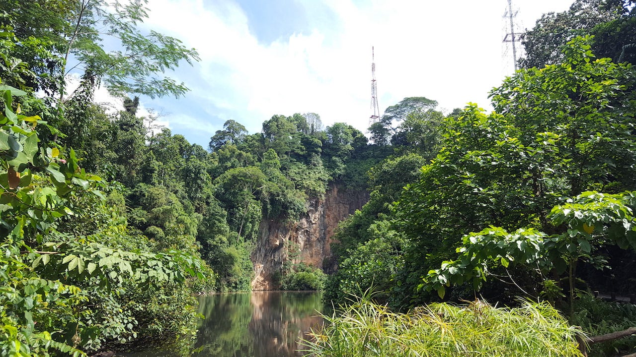 Bukit Batok Nature Park (Credit National Parks Board)