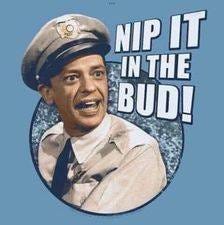 May be an image of 1 person and text that says 'NIP IT IN THE BUD!'