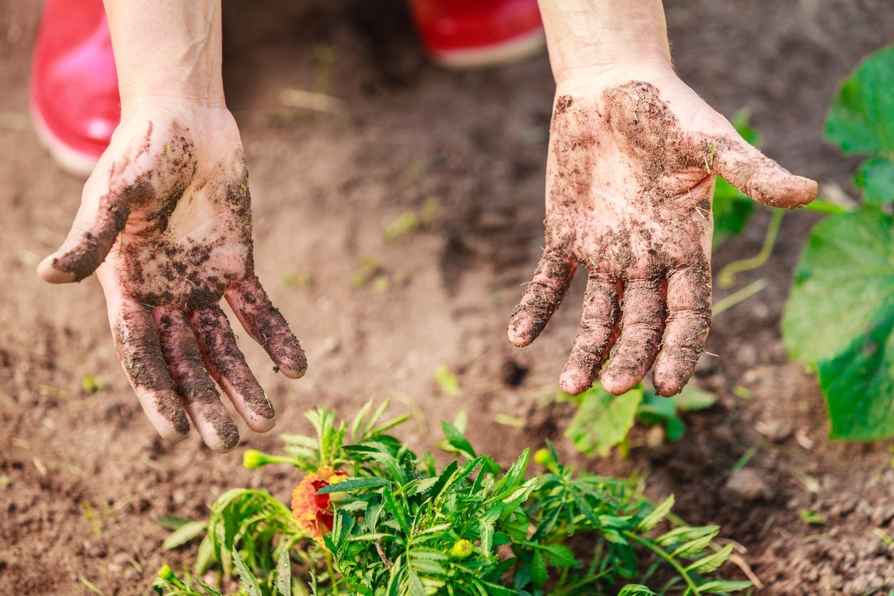 Clean Hands In The Garden â How To Avoid Getting Dirt Under Your Fingernails While Gardening Clean Hands In The Garden â How To Avoid Getting Dirt Under Your Fingernails While Gardening