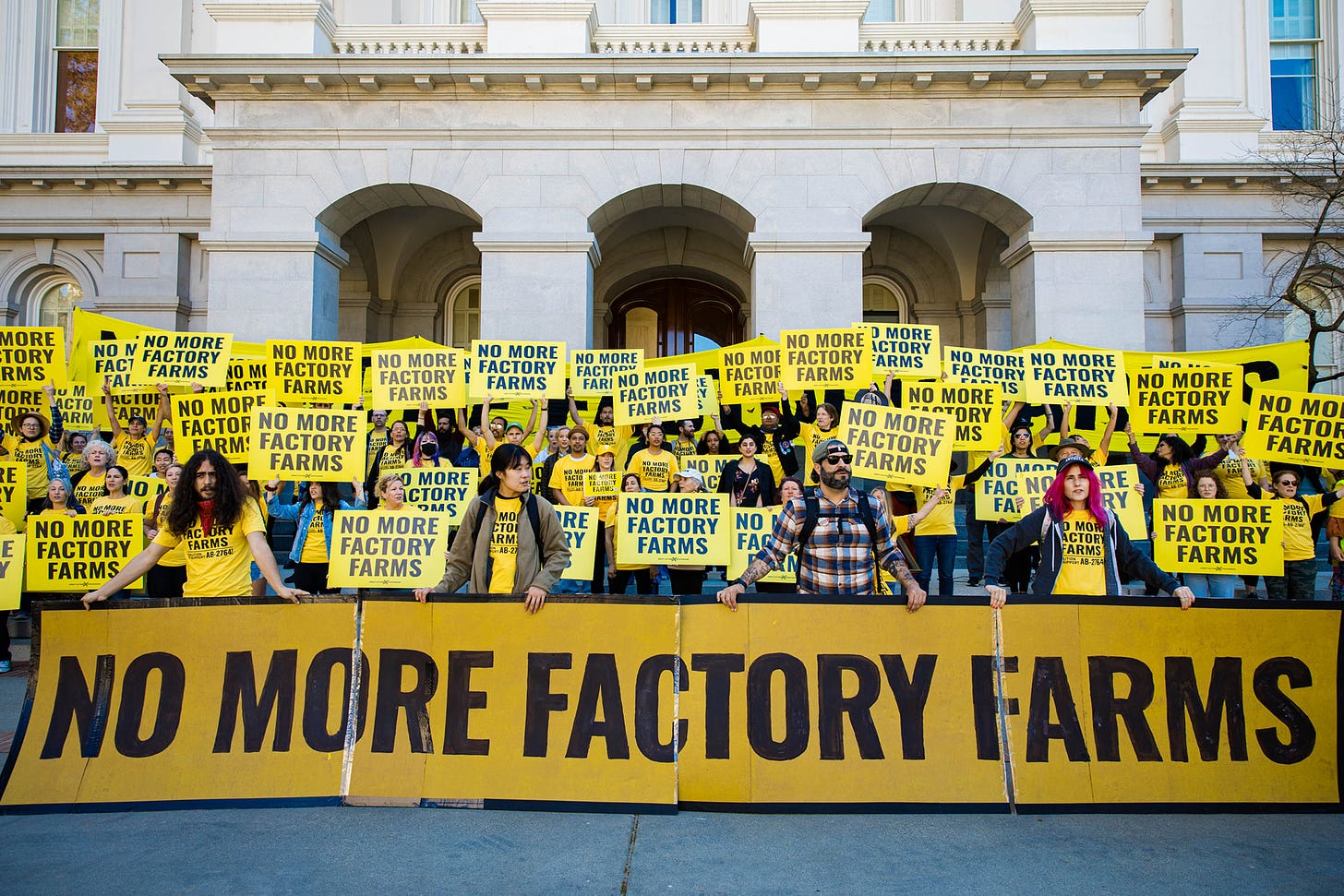 No More Factory Farms