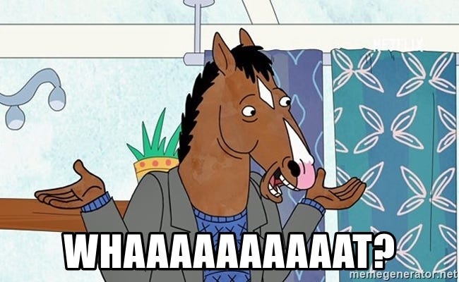 Whaaaaaaaaaat? - Bojack Horseman Whaaat | Meme Generator